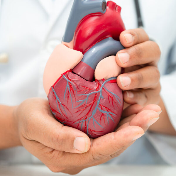 cardiology4