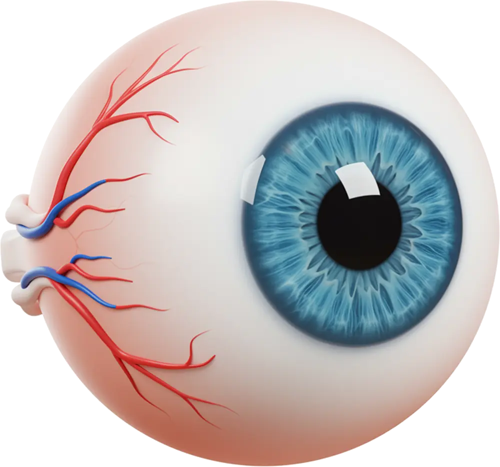 eye