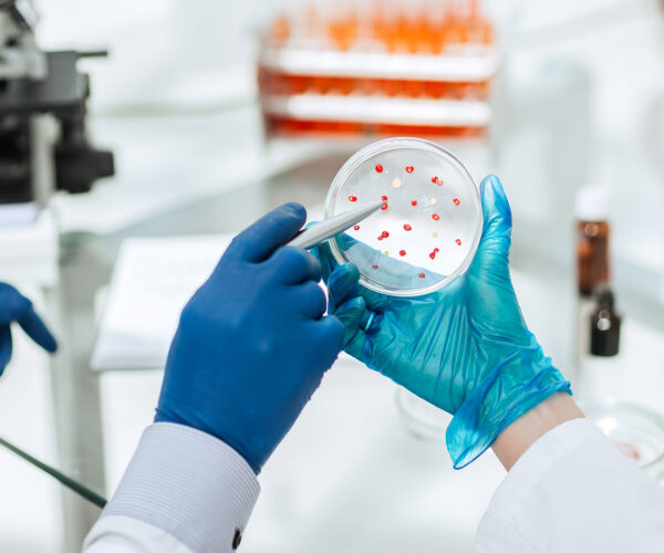 laboratory4