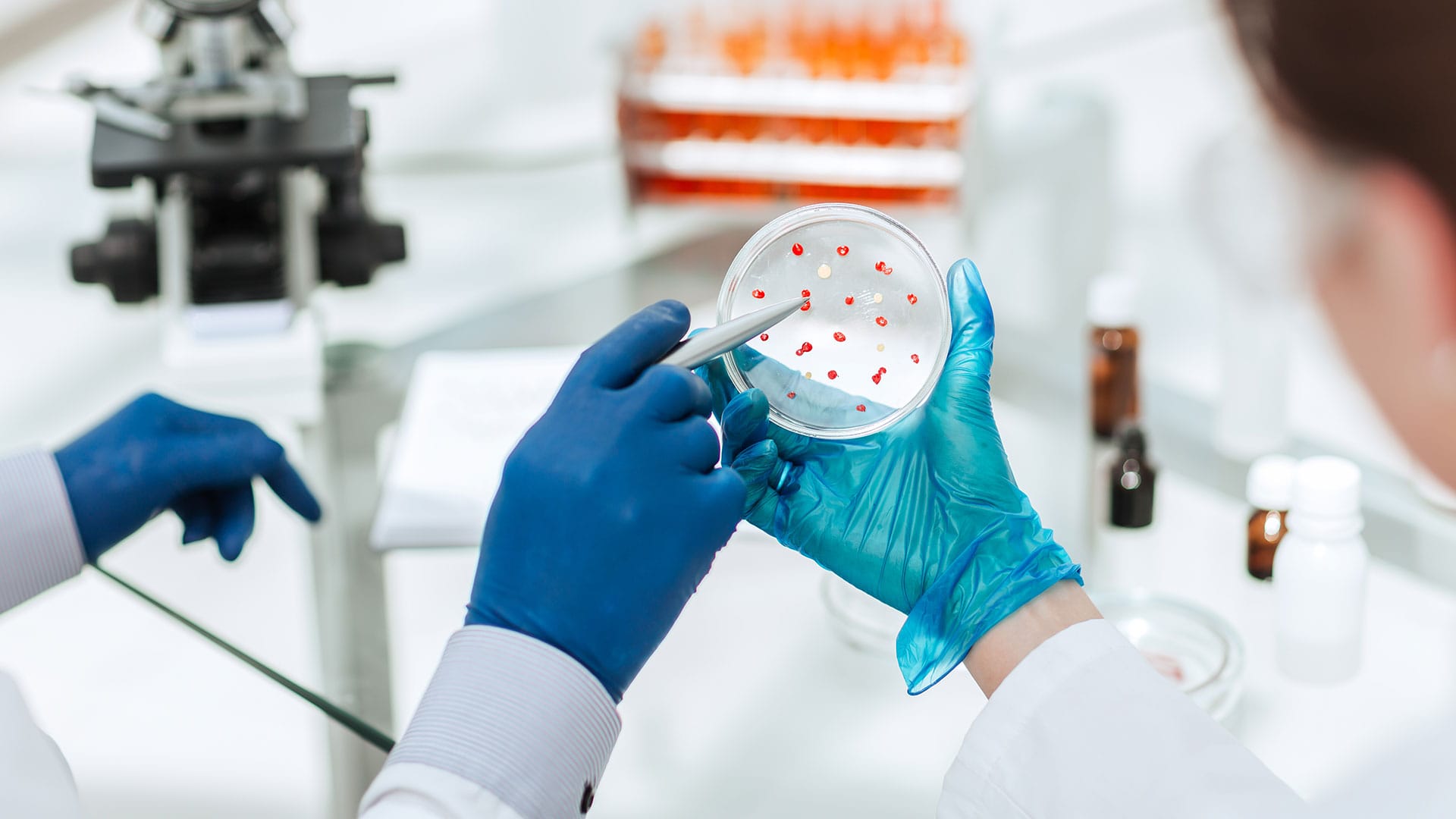 laboratory4