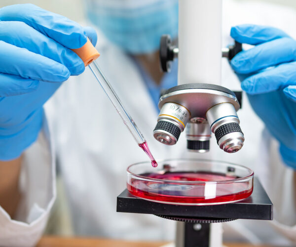 laboratory5
