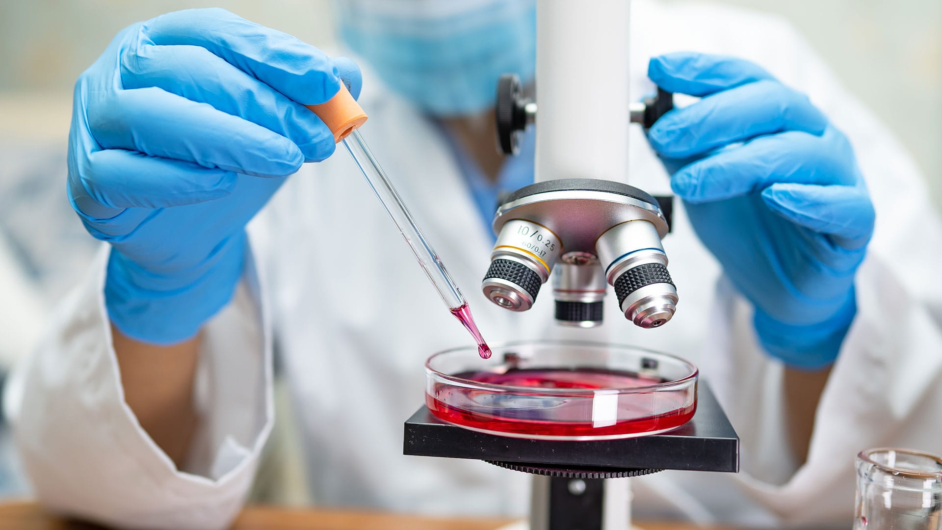 laboratory5