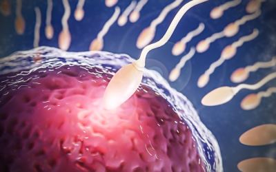 Choose a Trusted Fertility Clinic in Karimnagar for Better Results