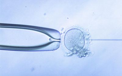 IVF And ICSI Karimnagar – Advanced Fertility Solutions for Parenthood